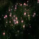 gutz's grove