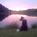 .𖥔 ݁ ˖ Moonflower Meadows ˖ ݁ 𖥔. Discord server icon