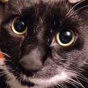 .𖥔 ݁ ˖Francine^. .^₎⟆ Discord server icon