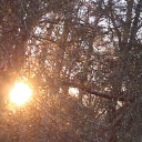 ⋆₊˚₊The Graveyard[18+]₊˚⋆˚𐂯⋆˚ Discord server icon