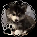 woof