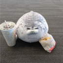 𝒕𝒖𝒇𝒇𝒚 𝒍𝒂𝒏𝒅