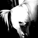 🖤🪽Ʈᖾᥱ ᙖᥲt ᙃᥱᥒ🪽🖤