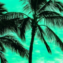 ☘EpicElite™🟩 Discord server icon