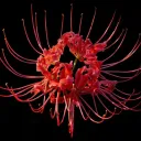 Gem City Trials discord icon