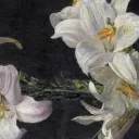 Enori's Payigs discord icon