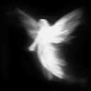 𝒜𝓂𝒶𝓇𝓎𝓁𝓁𝒾𝓈 𝜗𝜚 Discord server icon