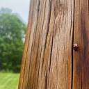 sketzi's spookyland Discord server icon