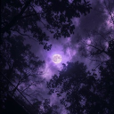 Nightfall (NF) Discord server icon