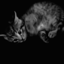 ISIS PENDING REVAMP Discord server icon