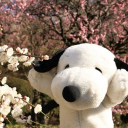 ₊  ‧  /Snoopys  ୨ৎ support ⋆ vouch ‧  ₊  ˚