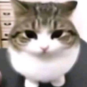 Silly texters Discord server icon