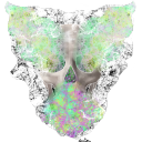 Crash Outs and Vibes Discord server icon