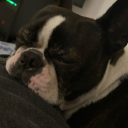 ✨Twinkle Twinkle✨ Discord server icon