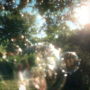 Eternal Garden Discord server icon