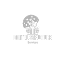 Digital Structure Services