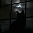 Twilight ༒