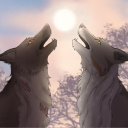 The Cardinal Collective ⊹₊⟡⋆ Discord server icon