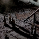 𝓮𝚙𝚑𝚎𝚖𝚎𝚛𝚊𝚕 Discord server icon