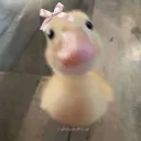 💞Girlhood Circle💞