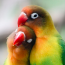 Let Me Take Care Of You Discord server icon