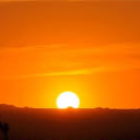 rip deset 🌵 Discord server icon