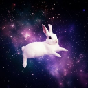 𝐁𝐔𝐍𝐍𝐘𝐒 𝐖𝐎𝐑𝐋𝐃 Discord server icon