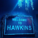 𝑯𝒂𝒘𝒌𝒊𝒏𝒔 - 𝑶𝒏 𝒂𝒊𝒓ᯓᡣ𐭩 Discord server icon