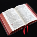 Bible Believers Fellowship Server Icon