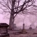graveyard dwellers