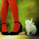 ‧₊˚ ┊.. ❀࿐🐇𝑇ℎ𝑖𝑠 𝑎𝑛𝑑 𝑡ℎ𝑎𝑡🍓⋆˚꩜｡