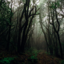 A Storyteller's Perspective