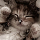 Lauvitic ✰ Discord server icon