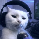 FloatingToasters Discord server icon