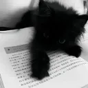 Lexa. | #we_love_lexa Discord Server Icon