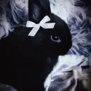 Death bunnies
