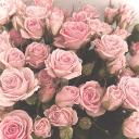 . : 。✿ Land of Lust .: 。 ✿ ...