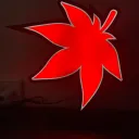 MapleKingdom
