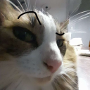 𝐘𝐀𝐏𝐏𝐓𝐘-𝐘𝐀𝐏𝐏𝐄𝐑 Discord server icon