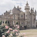 𝓣𝓱𝓮 𝓡𝓸𝔂𝓪𝓵 𝓚𝓲𝓷𝓰𝓭𝓸𝓶 👑👸🤴🫅 Discord server icon