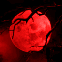 ︶꒦꒷𝖘𝖆𝖓𝖌𝖚𝖎𝖓𝖊 𝖘𝖔𝖑𝖎𝖙𝖚𝖉𝖊꒷꒦︶ avatar