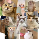 Mei Mei fan club Discord server icon