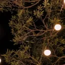 Cozy Global Cafe discord icon