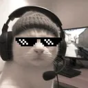 Cool Cats Club