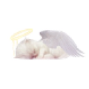 Ace of Angels Discord server icon