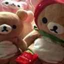 bear