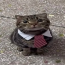 𝐆𝐀𝐂𝐇𝐈𝐀