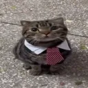 𝐆𝐀𝐂𝐇𝐈𝐀