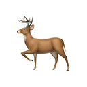 deer.sh