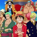 The Grand One piece Roleplay Server